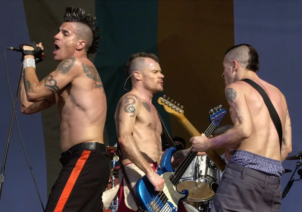 Red Hot Chili Peppers Mowhawk