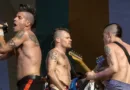 Red Hot Chili Peppers Mowhawk