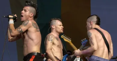 Red Hot Chili Peppers Mowhawk